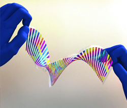 Engineers create chameleon-like artificial skin that shifts color
